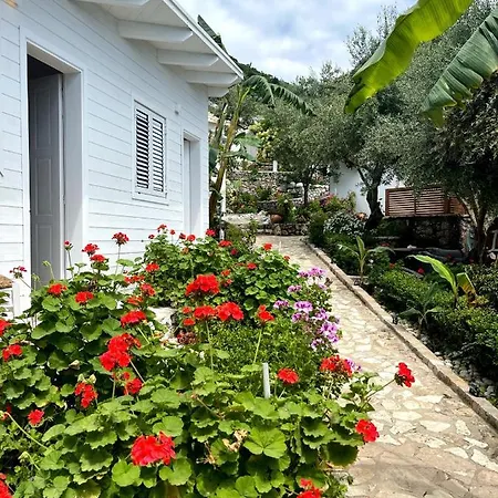 Alevra Hotel *
